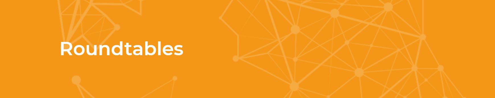 Header TWDI Roundtable